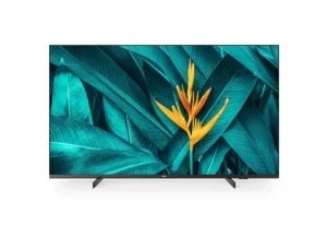 Telewizor Hotelowy Philips 50HFL5214U/12